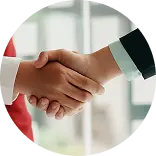 Две руки пожимают друг друга в знак согласия.